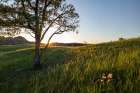 Sunrise in the Jones Creek area in Theodore Roosevelt National Park, North Dakota, USA. Art Print